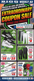 Big 5 Weekly Ad week 11 Page 1