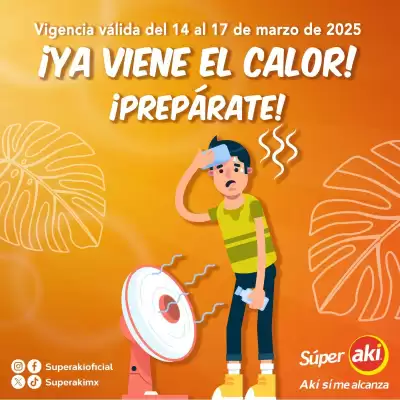 Catálogo Super Aki (válido até 17-03)