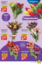 Lidl Flugblatt woche 12 Seite 28