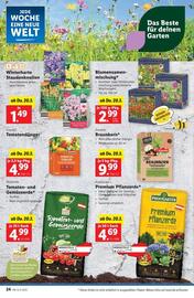 Lidl Flugblatt woche 12 Seite 29