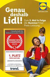 Lidl Flugblatt woche 12 Seite 4