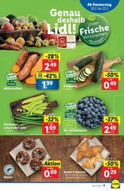 Lidl Flugblatt woche 12 Seite 8