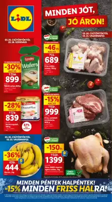 Lidl akciós újság (érvényes eddig: 26-03)