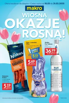 Makro gazetka (ważność do 31-03)