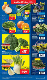 Lidl Prospekt woche 12 Seite 3