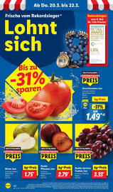 Lidl Prospekt woche 12 Seite 54