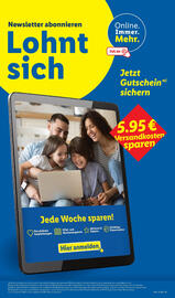 Lidl Prospekt woche 12 Seite 61