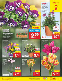 Netto Marken-Discount DE folder week 12 Pagina 9