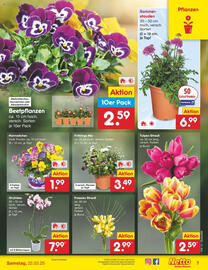 Netto Marken-Discount Prospekt woche 12 Seite 9