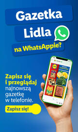 Lidl gazetka Strona 61