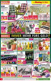 Norma Flugblatt woche 13 Seite 2