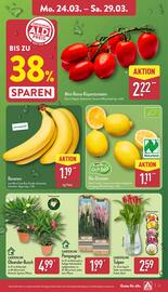 Aldi Nord Prospekt woche 13 Seite 3