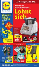 Lidl Prospekt woche 13 Seite 1