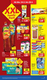 Lidl Prospekt woche 13 Seite 17