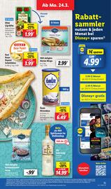 Lidl Prospekt woche 13 Seite 21