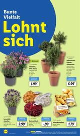 Lidl Prospekt woche 13 Seite 46