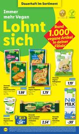 Lidl Prospekt woche 13 Seite 56