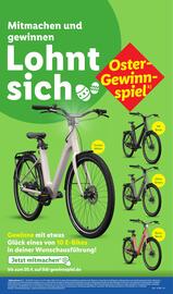 Lidl Prospekt woche 13 Seite 57