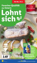 Lidl Prospekt woche 13 Seite 8