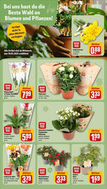 REWE Prospekt woche 12 Seite 9