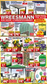 Wreesmann Prospekt woche 12 Seite 1