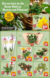 REWE Prospekt woche 12 Seite 9