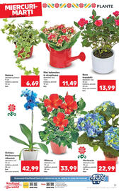 Catalog Kaufland Pagină 25