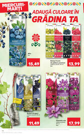 Catalog Kaufland Pagină 74