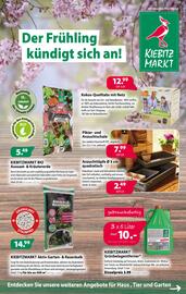 Kiebitzmarkt Prospekt Seite 1