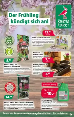 Kiebitzmarkt Prospekt (gültig bis 21-03)