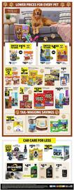 Dollar General Weekly Ad week 12 Page 12