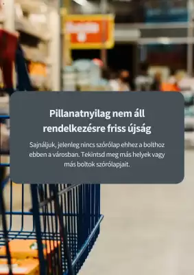 Pingvin Patika akciós újság (érvényes eddig: 24-03)