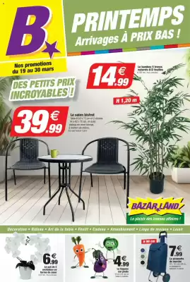 Catalogue Bazarland (valable jusqu'au 30-03)