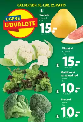 Lidl tilbudsavis (gælder indtil 22-03)