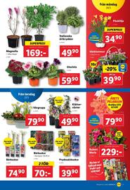 Lidl reklamblad vecka 13 Sida 21