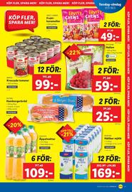 Lidl reklamblad vecka 13 Sida 29