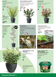 Bellaflora Flugblatt Seite 10