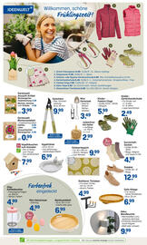 Rossmann DE folder Pagina 2