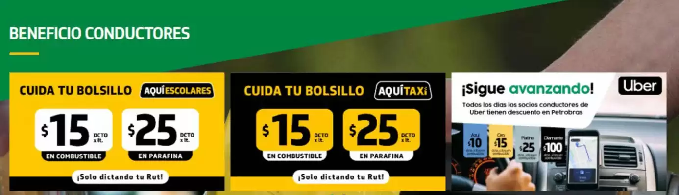 Catálogo Petrobras (válido hasta 31-03)