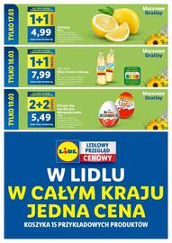 Lidl gazetka Strona 13