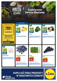 Lidl gazetka Strona 4