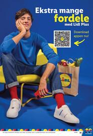 Lidl tilbudsavis Side 13