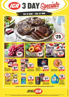 IGA catalogue (valid until 23-03)