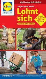 Lidl Prospekt woche 14 Seite 1