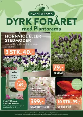 Plantorama tilbudsavis (gælder indtil 30-03)