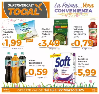 Volantino Tocal (valido fino al 27-03)