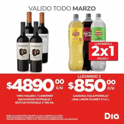 Catálogo Supermercados DIA (válido hasta 31-03)