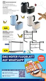 Hofer Flugblatt woche 12 Seite 31