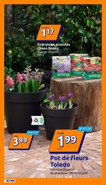 Catalogue Action semaine 12 page 9