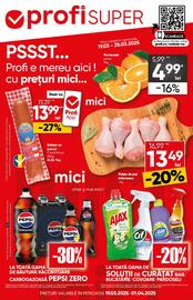 Catalog PROFI Pagină 1